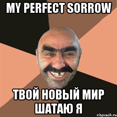 my perfect sorrow твой новый мир шатаю я, Мем Я твой дом труба шатал