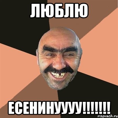 люблю есенинуууу!!!, Мем Я твой дом труба шатал