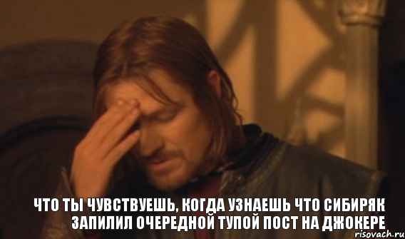 Что ты чувствуешь, когда узнаешь что Сибиряк запилил очередной тупой пост на Джокере, Мем Закрывает лицо