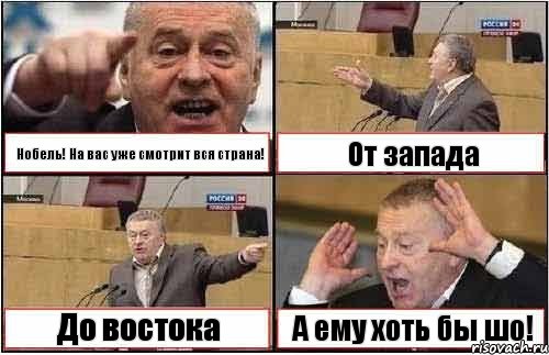 Нобель! На вас уже смотрит вся страна! От запада До востока А ему хоть бы шо!, Комикс жиреновский