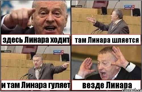 здесь Линара ходит там Линара шляется и там Линара гуляет везде Линара, Комикс жиреновский