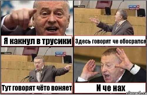 Я какнул в трусики Здесь говорят че обосрался Тут говорят чёто воняет И че нах, Комикс жиреновский