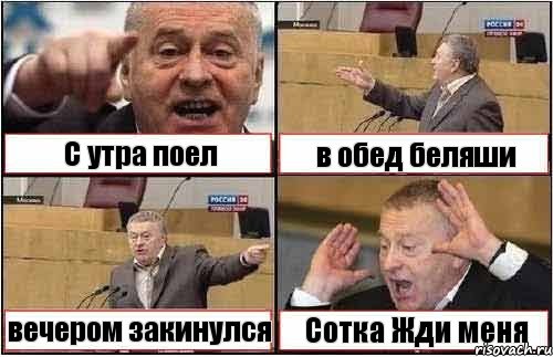 С утра поел в обед беляши вечером закинулся Сотка Жди меня, Комикс жиреновский