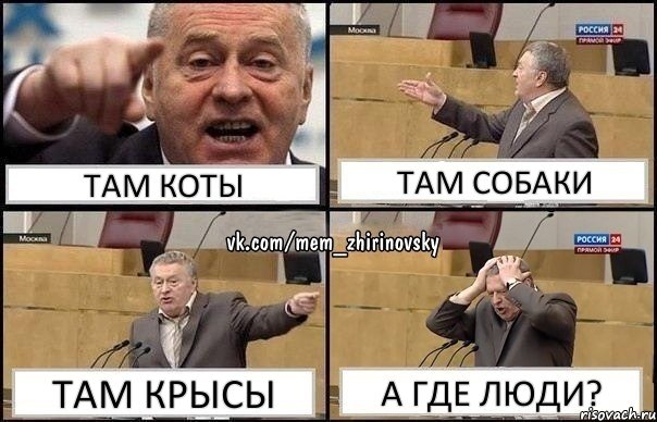 Там коты там собаки там крысы а где люди?, Комикс Жирик