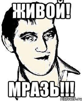 живой! мразь!!!, Мем зззззззз