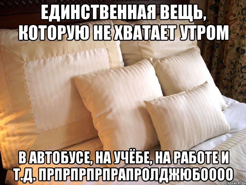 единственная вещь, которую не хватает утром в автобусе, на учёбе, на работе и т.д. прпрпрпрпрапролджюбоооо, Мем 2563