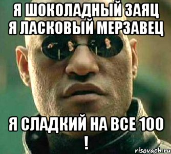 я шоколадный заяц я ласковый мерзавец я сладкий на все 100 !