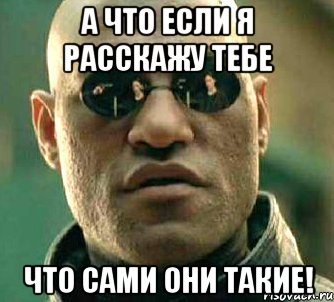 а что если я расскажу тебе что сами они такие!