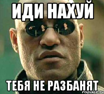 иди нахуй тебя не разбанят