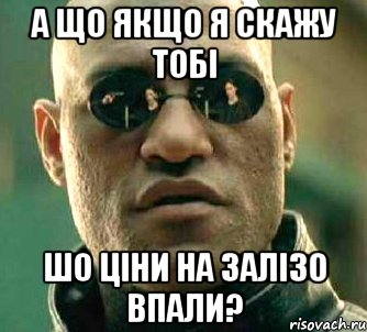 а що якщо я скажу тобі шо ціни на залізо впали?