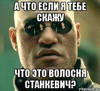 а что если я тебе скажу что это волосня станкевич?, Мем  а что если я скажу тебе