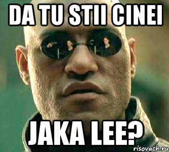 da tu stii cinei jaka lee?, Мем  а что если я скажу тебе