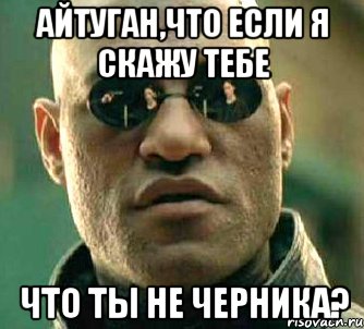 айтуган,что если я скажу тебе что ты не черника?