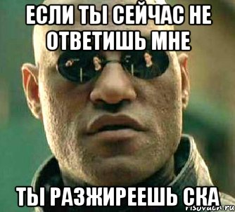 если ты сейчас не ответишь мне ты разжиреешь ска, Мем  а что если я скажу тебе