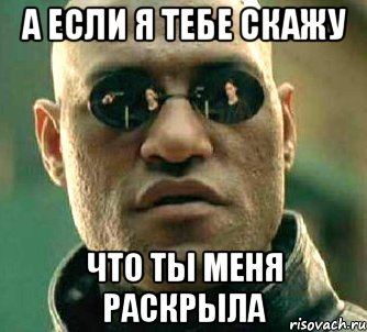 а если я тебе скажу что ты меня раскрыла, Мем  а что если я скажу тебе