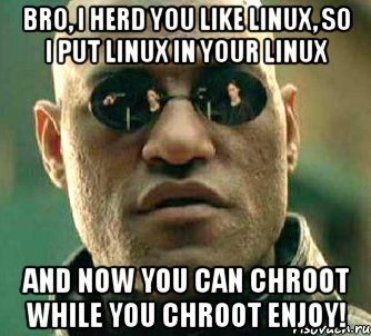 bro, i herd you like linux, so i put linux in your linux and now you can chroot while you chroot enjoy!, Мем  а что если я скажу тебе