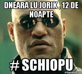 dneara lu jorik , 12 de noapte # schiopu, Мем  а что если я скажу тебе