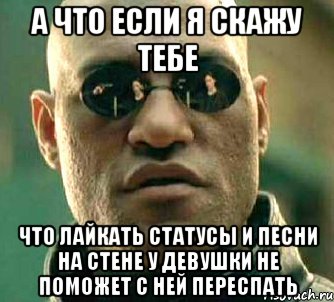 а что если я скажу тебе что лайкать статусы и песни на стене у девушки не поможет с ней переспать, Мем  а что если я скажу тебе