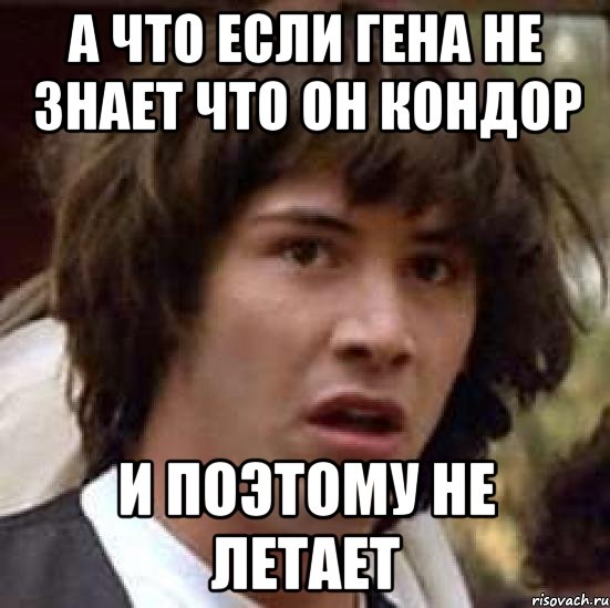 а что если гена не знает что он кондор и поэтому не летает, Мем А что если (Киану Ривз)