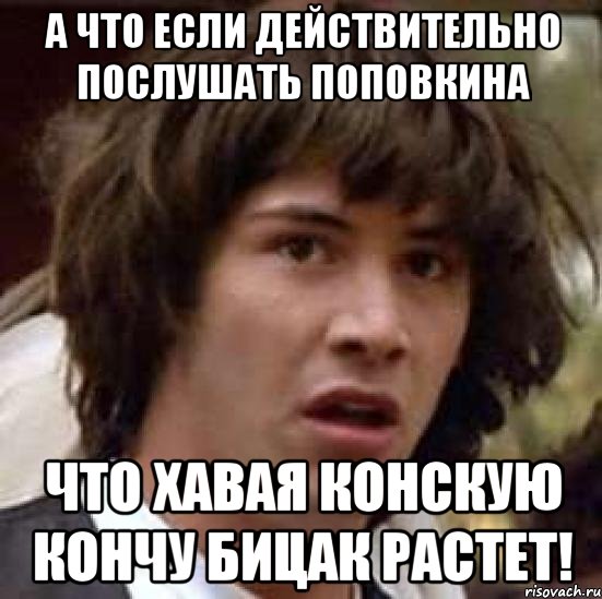 а что если действительно послушать поповкина что хавая конскую кончу бицак растет!, Мем А что если (Киану Ривз)