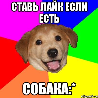 ставь лайк если есть собака:*, Мем Advice Dog