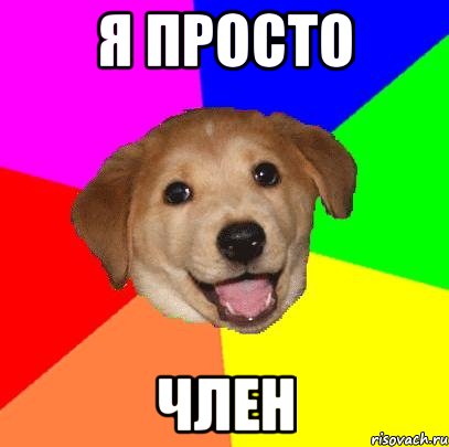 я просто член, Мем Advice Dog