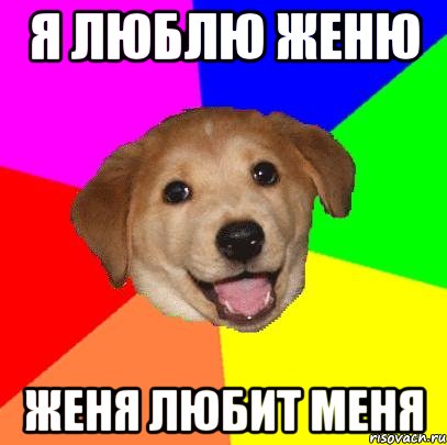 я люблю женю женя любит меня, Мем Advice Dog