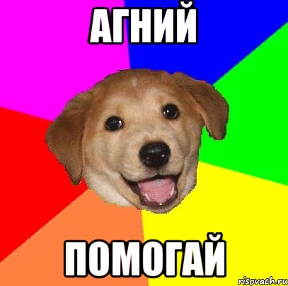 агний помогай, Мем Advice Dog