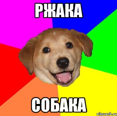 ржака собака