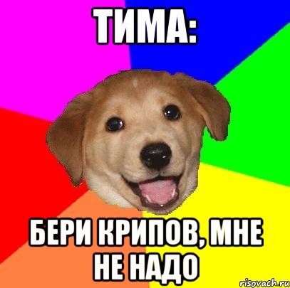 тима: бери крипов, мне не надо, Мем Advice Dog