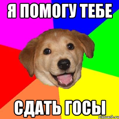 я помогу тебе сдать госы, Мем Advice Dog