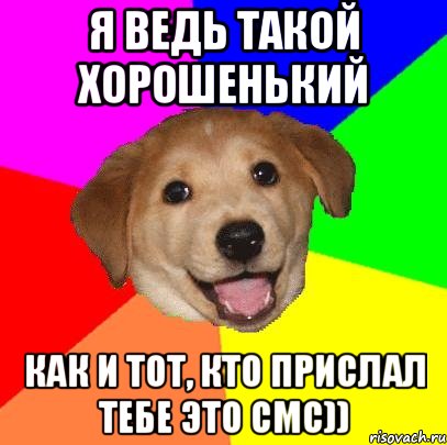 я ведь такой хорошенький как и тот, кто прислал тебе это смс)), Мем Advice Dog