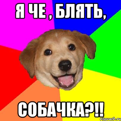 я че , блять, собачка?!!, Мем Advice Dog