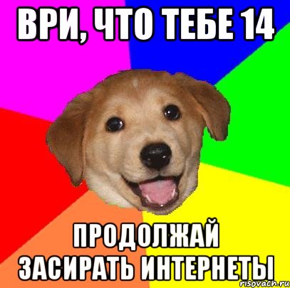 ври, что тебе 14 продолжай засирать интернеты, Мем Advice Dog