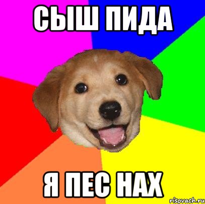 сыш пида я пес нах, Мем Advice Dog