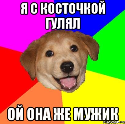 я с косточкой гулял ой она же мужик, Мем Advice Dog