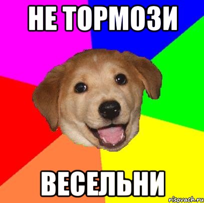 не тормози весельни, Мем Advice Dog