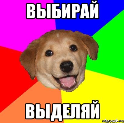 выбирай выделяй, Мем Advice Dog