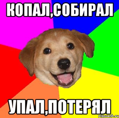 копал,собирал упал,потерял, Мем Advice Dog