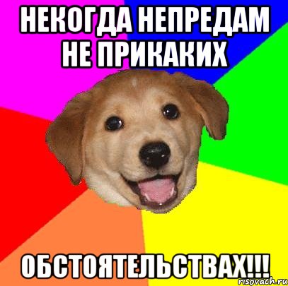 некогда непредам не прикаких обстоятельствах!!!, Мем Advice Dog