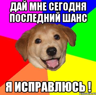 дай мне сегодня последний шанс я исправлюсь !, Мем Advice Dog