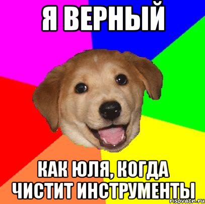 я верный как юля, когда чистит инструменты, Мем Advice Dog