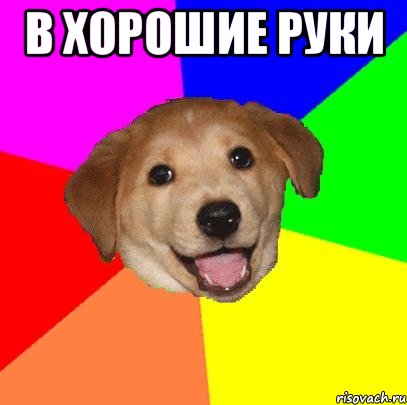 в хорошие руки , Мем Advice Dog