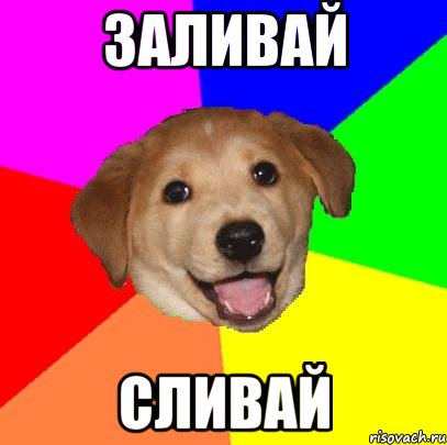 заливай сливай, Мем Advice Dog