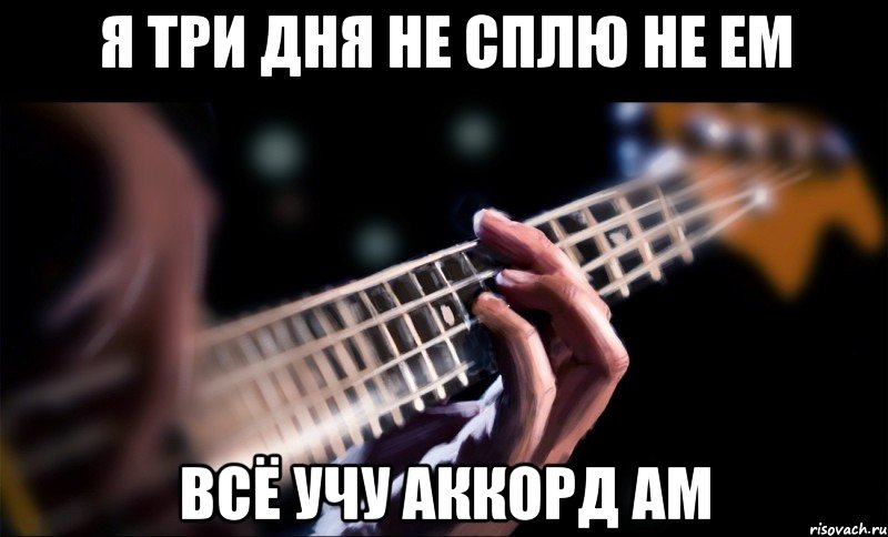 я три дня не сплю не ем всё учу аккорд am, Мем Bassvkcomsagemusic