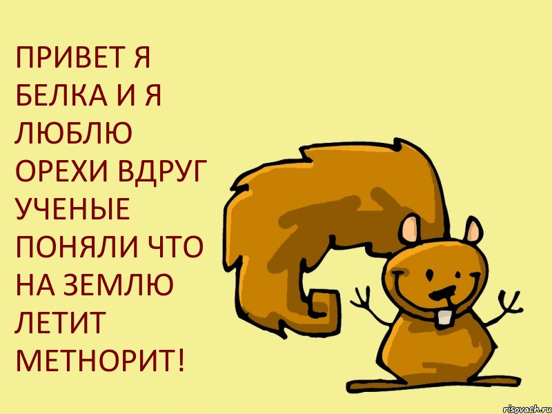 ПРИВЕТ Я БЕЛКА И Я ЛЮБЛЮ ОРЕХИ ВДРУГ УЧЕНЫЕ ПОНЯЛИ ЧТО НА ЗЕМЛЮ ЛЕТИТ МЕТНОРИТ!, Комикс  белка