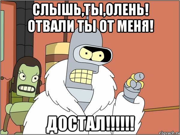 bender_15505044_orig_.jpg