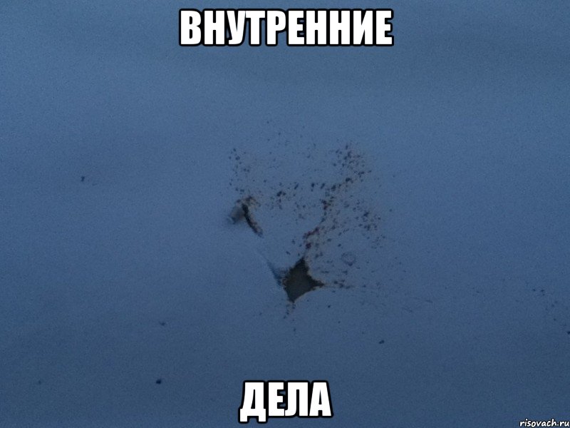 внутренние дела