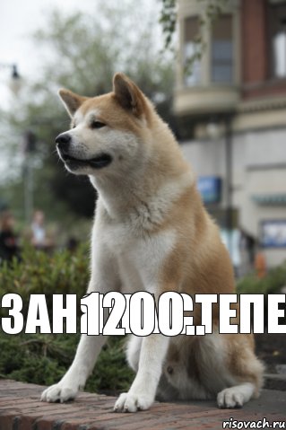 заняла степе 1200.., Мем  Хатико ждет