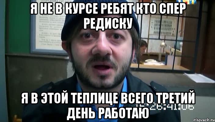 я не в курсе ребят кто спер редиску я в этой теплице всего третий день работаю, Мем Бородач